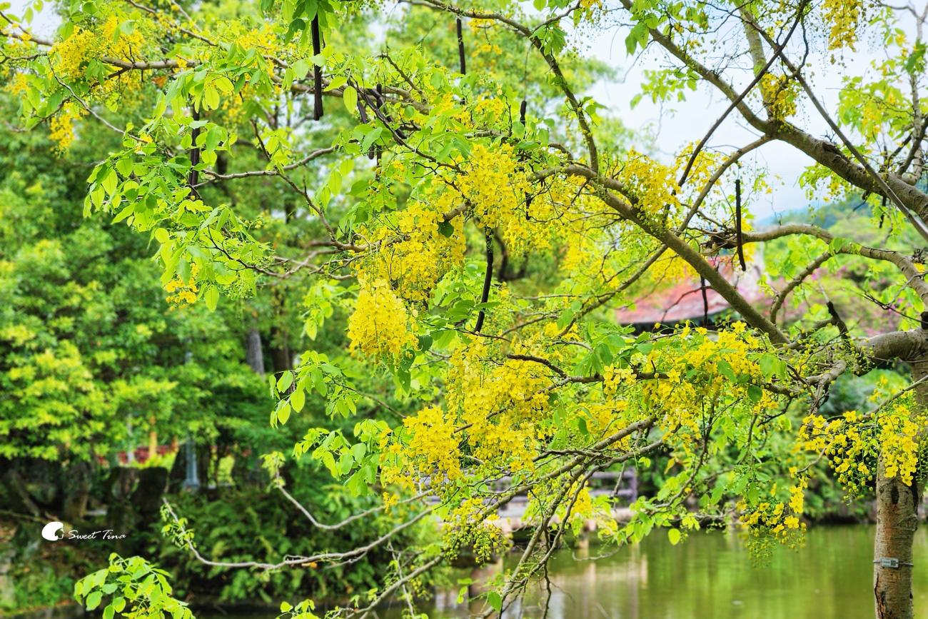 士林雙溪公園, 彷彿穿越時空來到古式庭園 士林雙溪公園, 彷彿穿越時空來到古式庭園