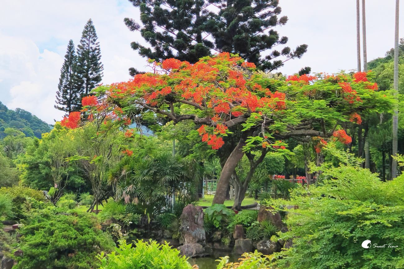 士林雙溪公園, 彷彿穿越時空來到古式庭園 士林雙溪公園, 彷彿穿越時空來到古式庭園