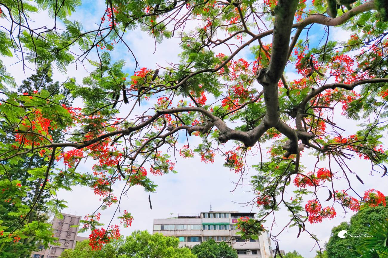 士林雙溪公園, 彷彿穿越時空來到古式庭園 士林雙溪公園, 彷彿穿越時空來到古式庭園