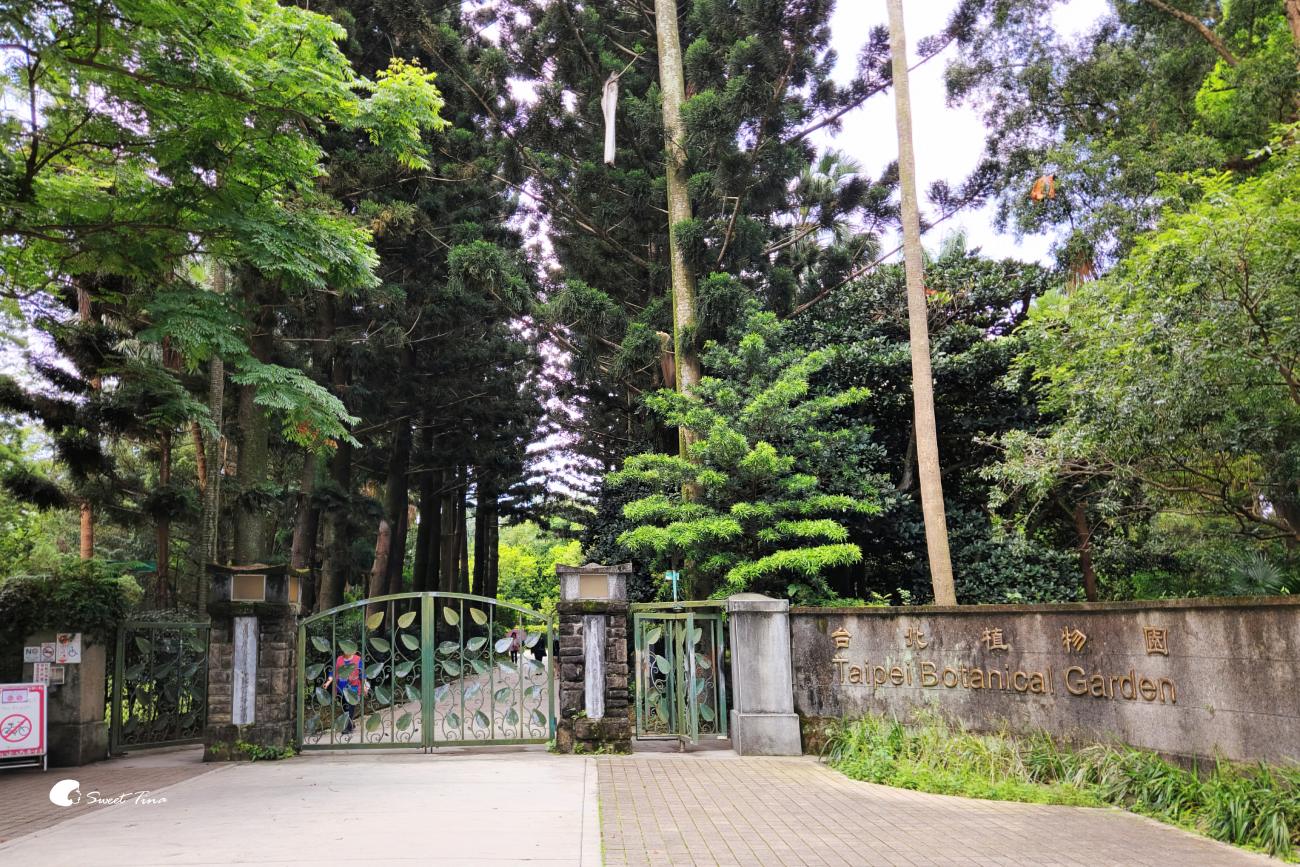 臺北植物園荷花池｜小南門站旁人氣賞荷景點，散步拍照一次滿足