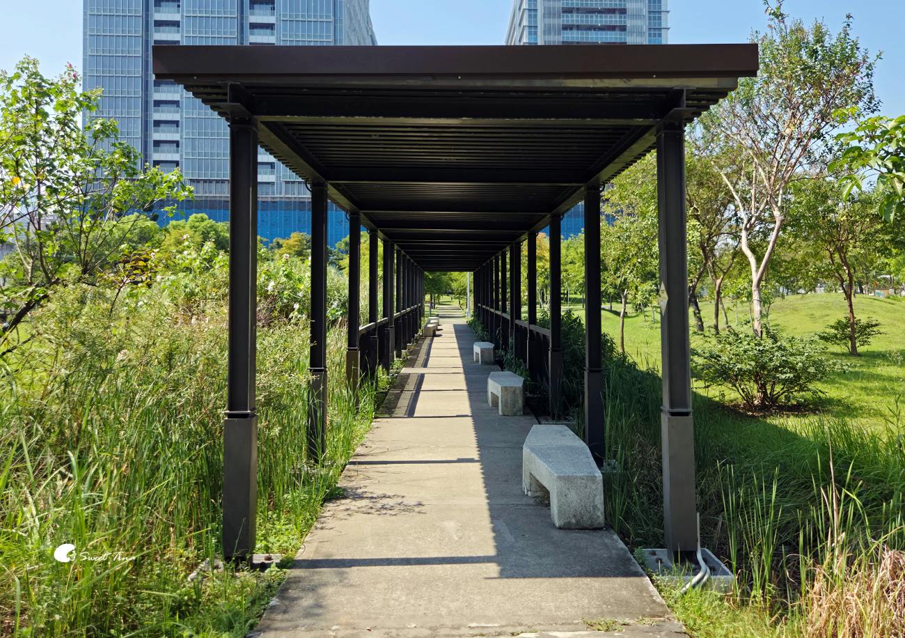 南港新新公園|捷運昆陽站輕鬆到!濕地棧道、落羽松、兒童滑索一次玩 南港新新公園|捷運昆陽站輕鬆到!濕地棧道、落羽松、兒童滑索一次玩