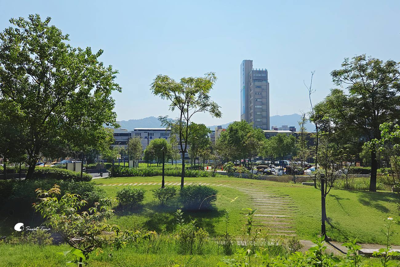 南港新新公園|捷運昆陽站輕鬆到!濕地棧道、落羽松、兒童滑索一次玩 南港新新公園|捷運昆陽站輕鬆到!濕地棧道、落羽松、兒童滑索一次玩