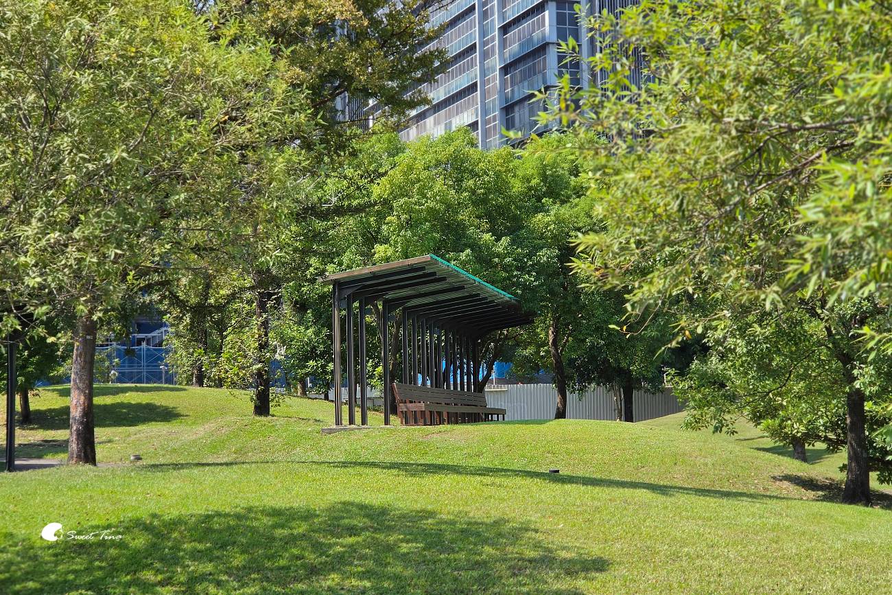 南港新新公園|捷運昆陽站輕鬆到!濕地棧道、落羽松、兒童滑索一次玩 南港新新公園|捷運昆陽站輕鬆到!濕地棧道、落羽松、兒童滑索一次玩