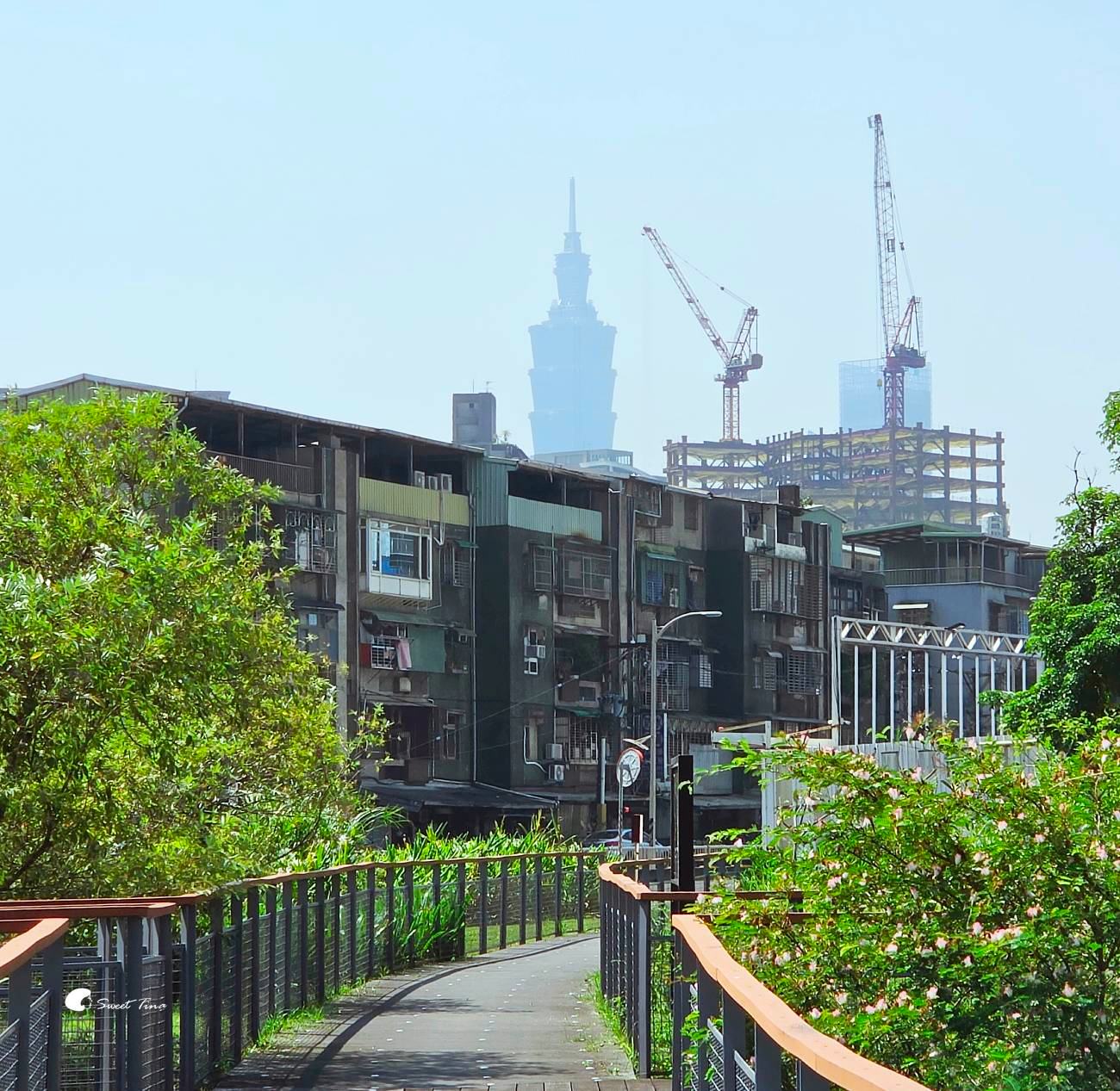 南港新新公園|捷運昆陽站輕鬆到!濕地棧道、落羽松、兒童滑索一次玩 南港新新公園|捷運昆陽站輕鬆到!濕地棧道、落羽松、兒童滑索一次玩