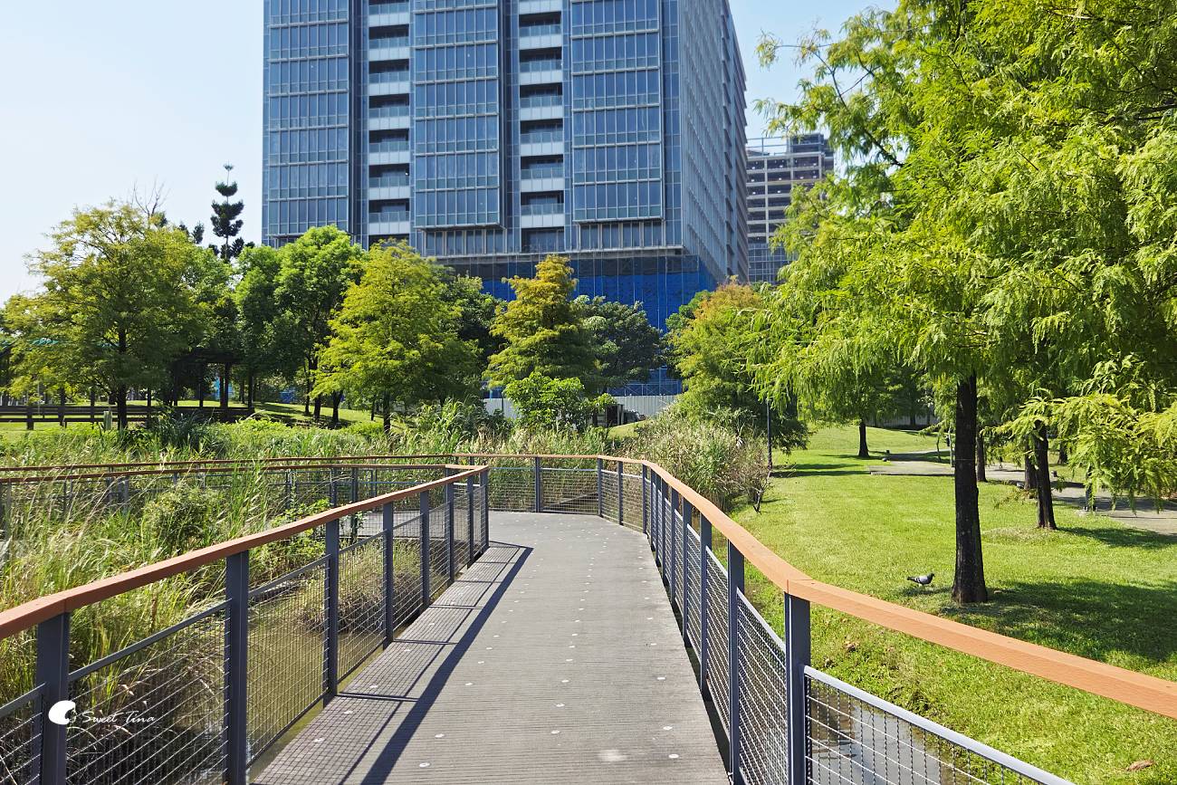 南港新新公園|捷運昆陽站輕鬆到!濕地棧道、落羽松、兒童滑索一次玩 南港新新公園|捷運昆陽站輕鬆到!濕地棧道、落羽松、兒童滑索一次玩