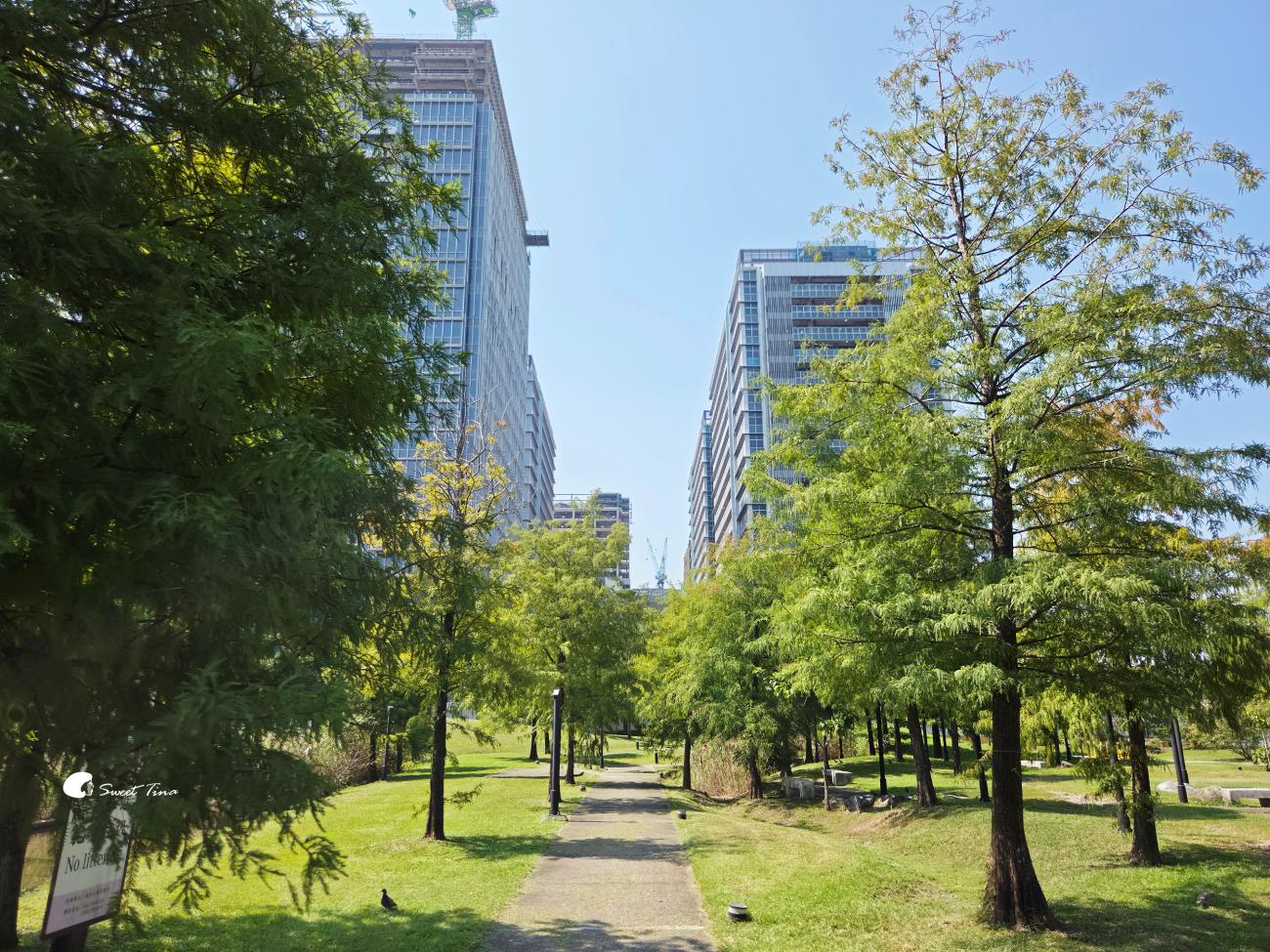 南港新新公園|捷運昆陽站輕鬆到!濕地棧道、落羽松、兒童滑索一次玩 南港新新公園|捷運昆陽站輕鬆到!濕地棧道、落羽松、兒童滑索一次玩