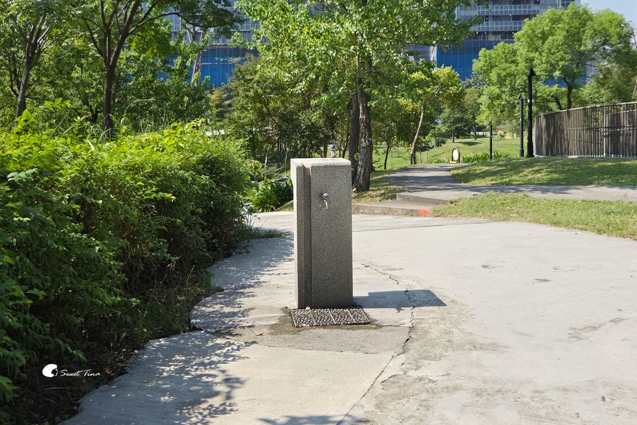 南港新新公園|捷運昆陽站輕鬆到!濕地棧道、落羽松、兒童滑索一次玩 南港新新公園|捷運昆陽站輕鬆到!濕地棧道、落羽松、兒童滑索一次玩
