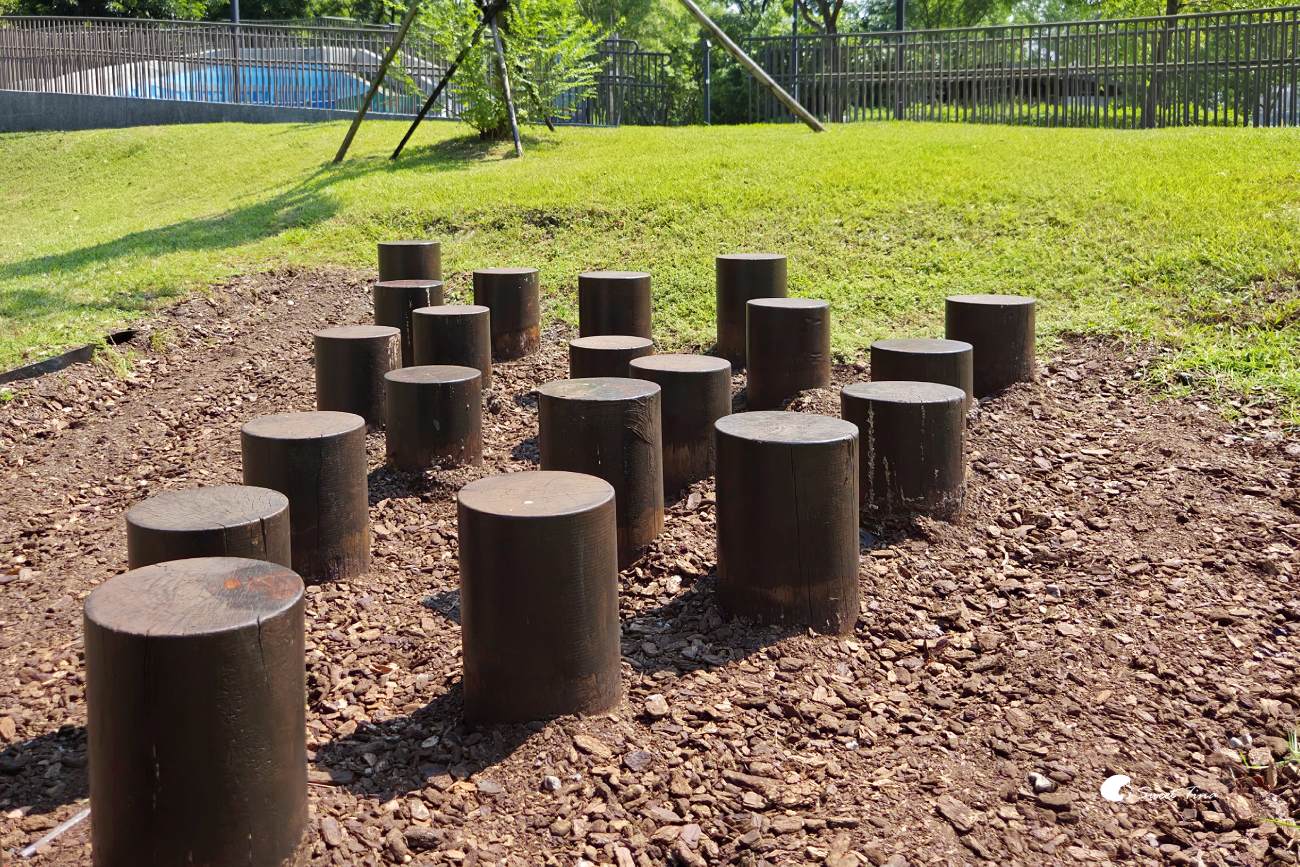 南港新新公園｜捷運昆陽站輕鬆到！濕地棧道、落羽松、兒童滑索一次玩
