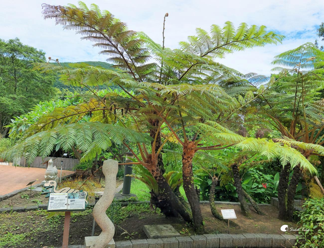 內雙溪自然中心藥用植物園|親子同遊、生態教育的台北近郊景點推薦 內雙溪自然中心藥用植物園|親子同遊、生態教育的台北近郊景點推薦