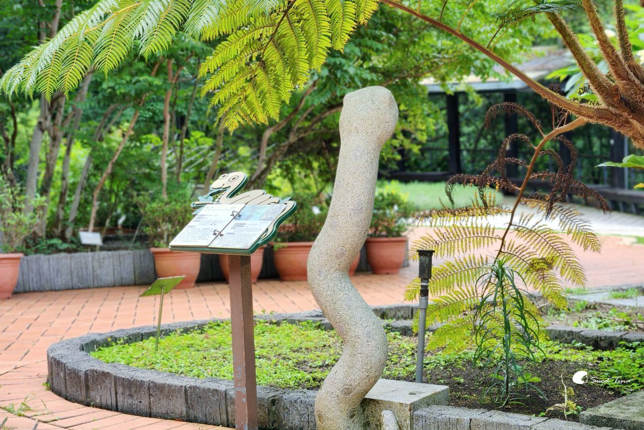 內雙溪自然中心藥用植物園|親子同遊、生態教育的台北近郊景點推薦 內雙溪自然中心藥用植物園|親子同遊、生態教育的台北近郊景點推薦