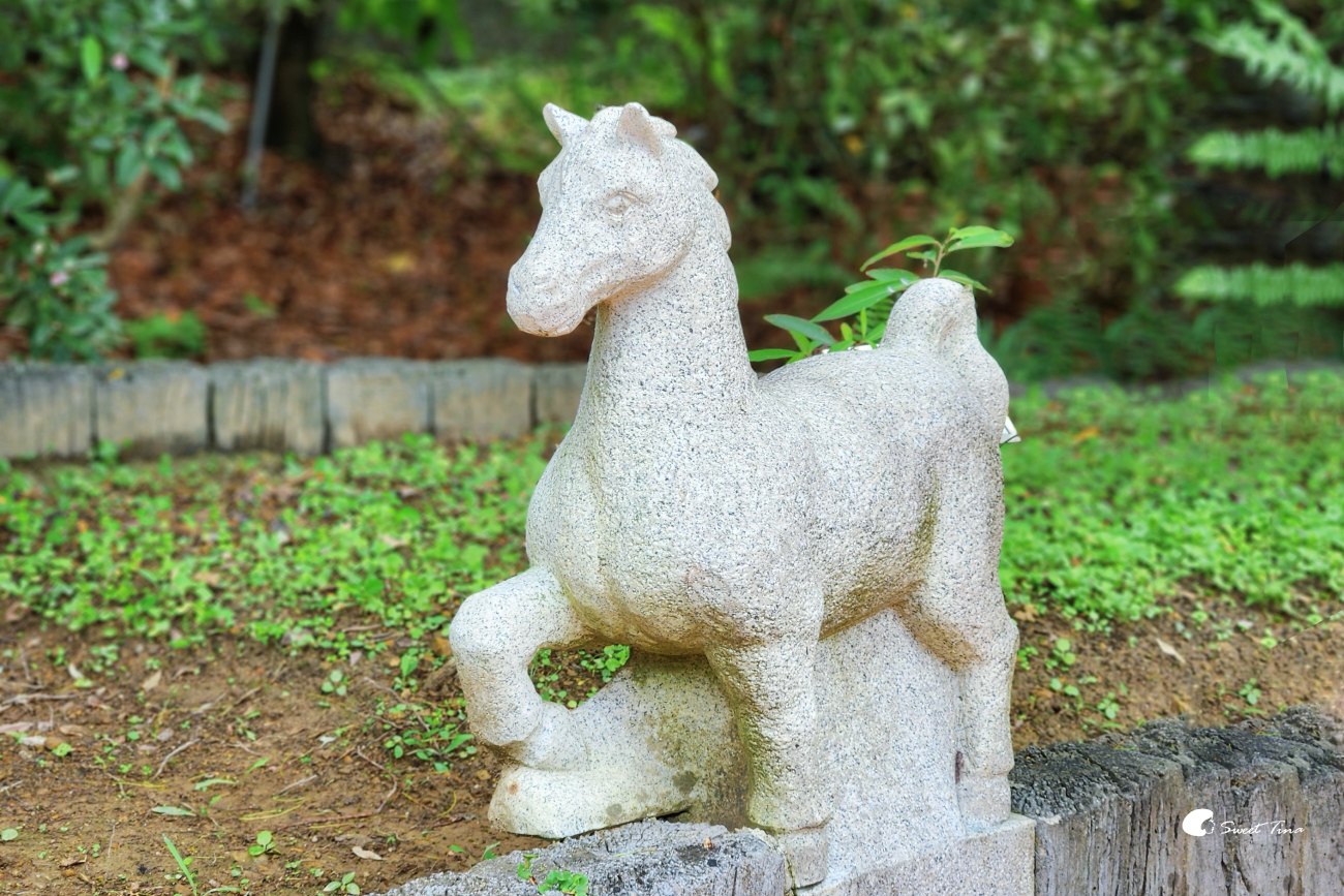 內雙溪自然中心藥用植物園|親子同遊、生態教育的台北近郊景點推薦 內雙溪自然中心藥用植物園|親子同遊、生態教育的台北近郊景點推薦