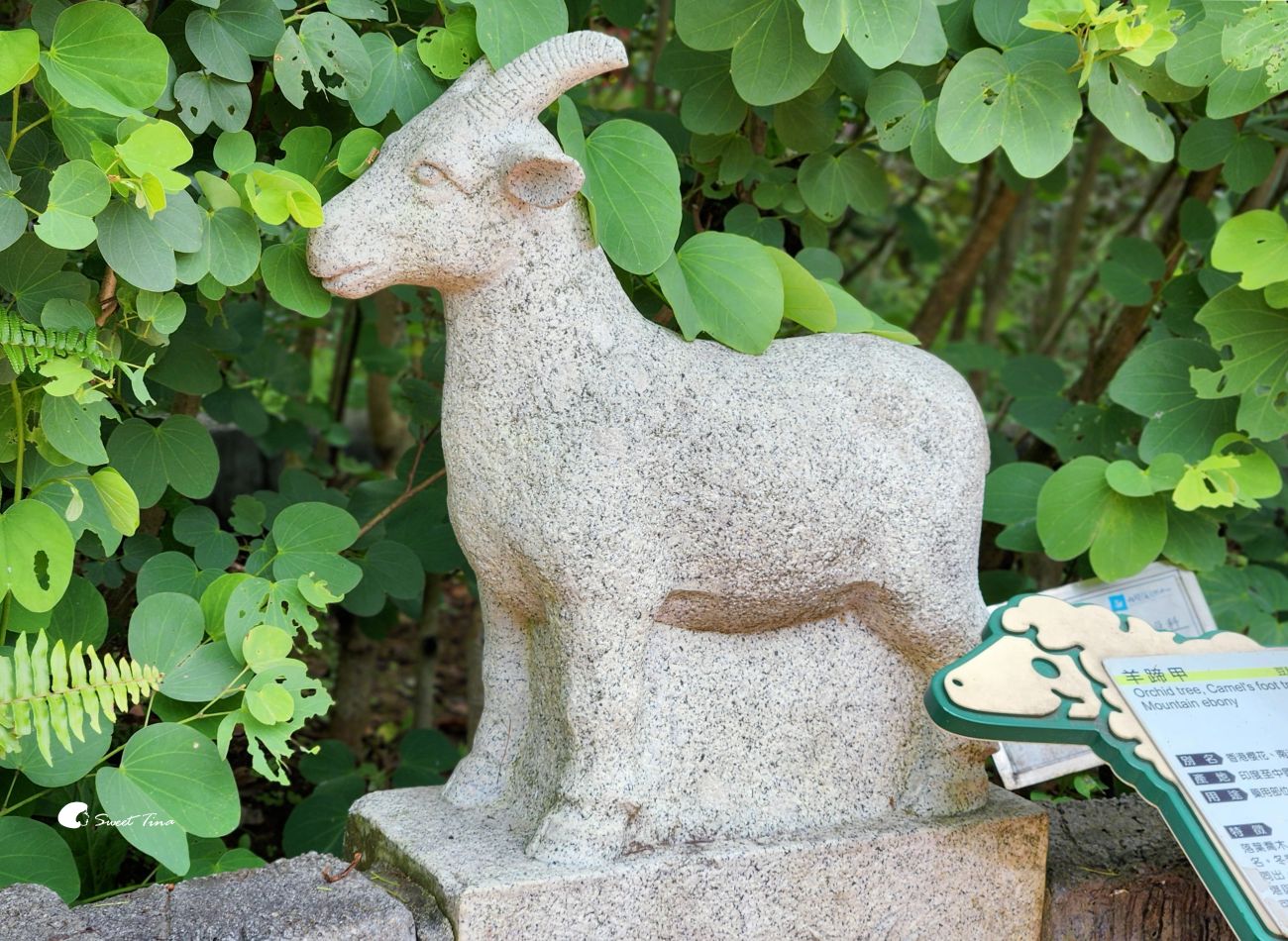 內雙溪自然中心藥用植物園|親子同遊、生態教育的台北近郊景點推薦 內雙溪自然中心藥用植物園|親子同遊、生態教育的台北近郊景點推薦