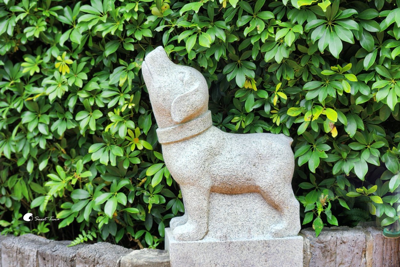 內雙溪自然中心藥用植物園|親子同遊、生態教育的台北近郊景點推薦 內雙溪自然中心藥用植物園|親子同遊、生態教育的台北近郊景點推薦