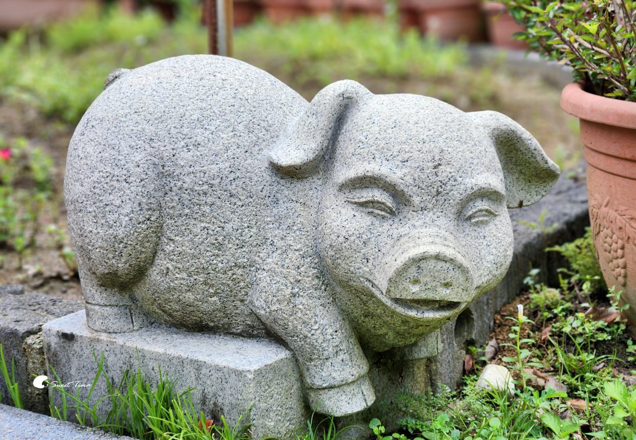 內雙溪自然中心藥用植物園|親子同遊、生態教育的台北近郊景點推薦 內雙溪自然中心藥用植物園|親子同遊、生態教育的台北近郊景點推薦