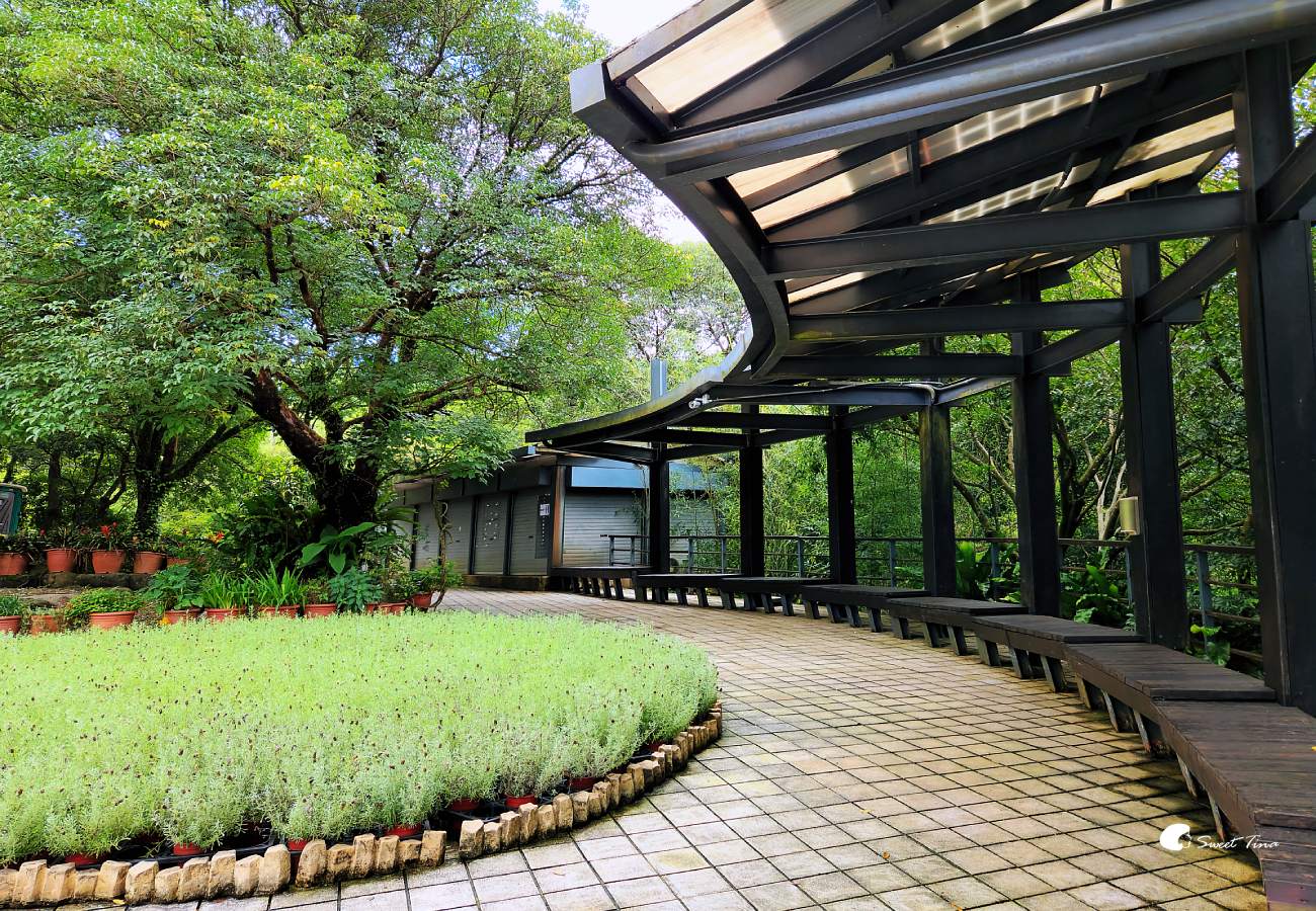 內雙溪自然中心藥用植物園|親子同遊、生態教育的台北近郊景點推薦 內雙溪自然中心藥用植物園|親子同遊、生態教育的台北近郊景點推薦