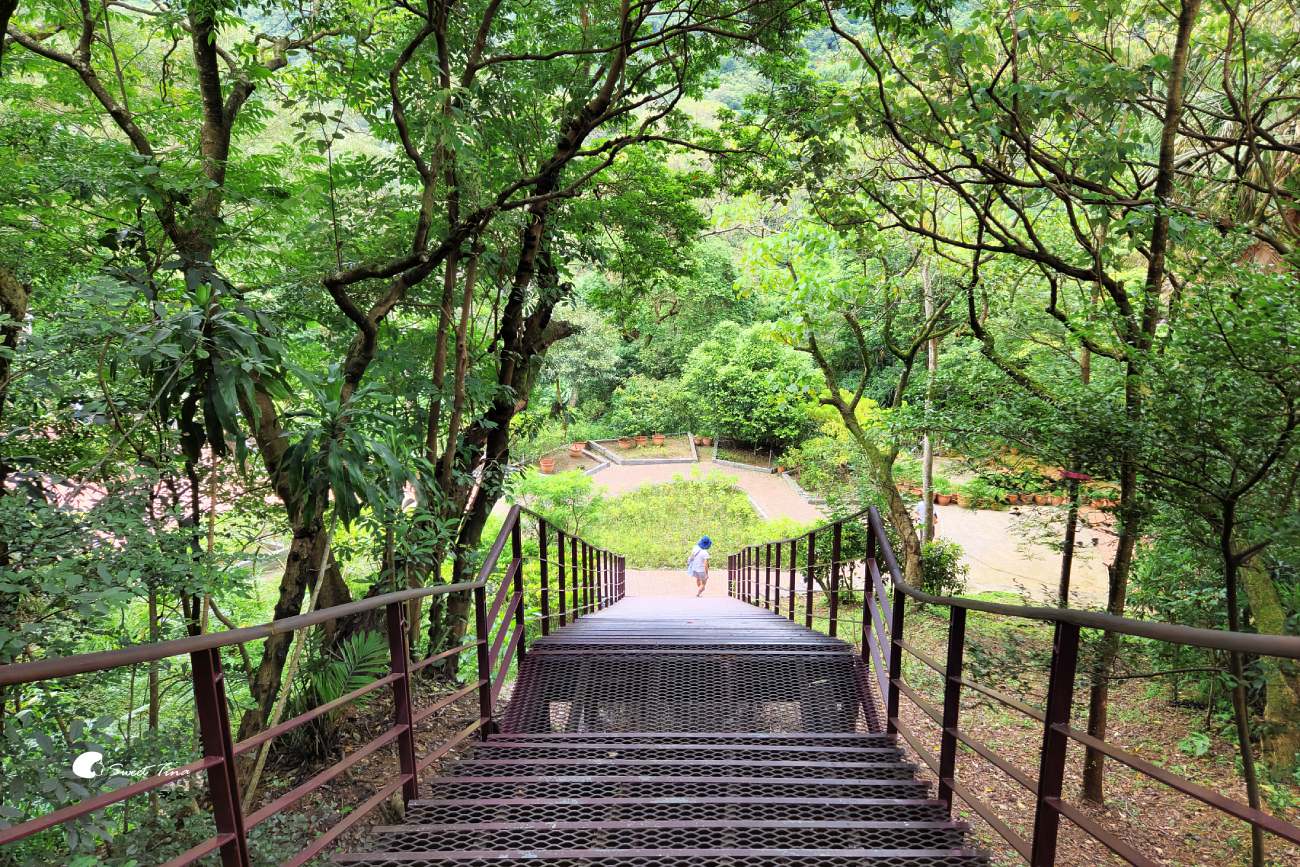 內雙溪自然中心藥用植物園|親子同遊、生態教育的台北近郊景點推薦 內雙溪自然中心藥用植物園|親子同遊、生態教育的台北近郊景點推薦
