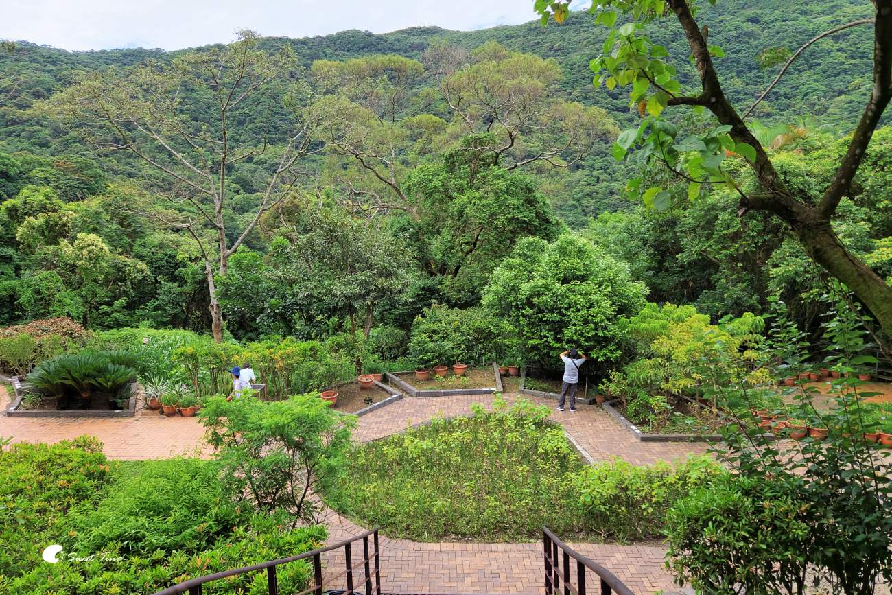 內雙溪自然中心藥用植物園|親子同遊、生態教育的台北近郊景點推薦 內雙溪自然中心藥用植物園|親子同遊、生態教育的台北近郊景點推薦