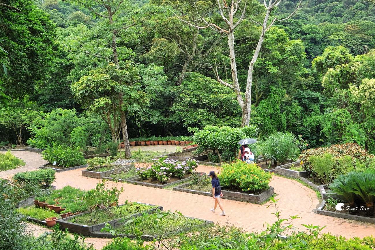 內雙溪自然中心藥用植物園|親子同遊、生態教育的台北近郊景點推薦 內雙溪自然中心藥用植物園|親子同遊、生態教育的台北近郊景點推薦