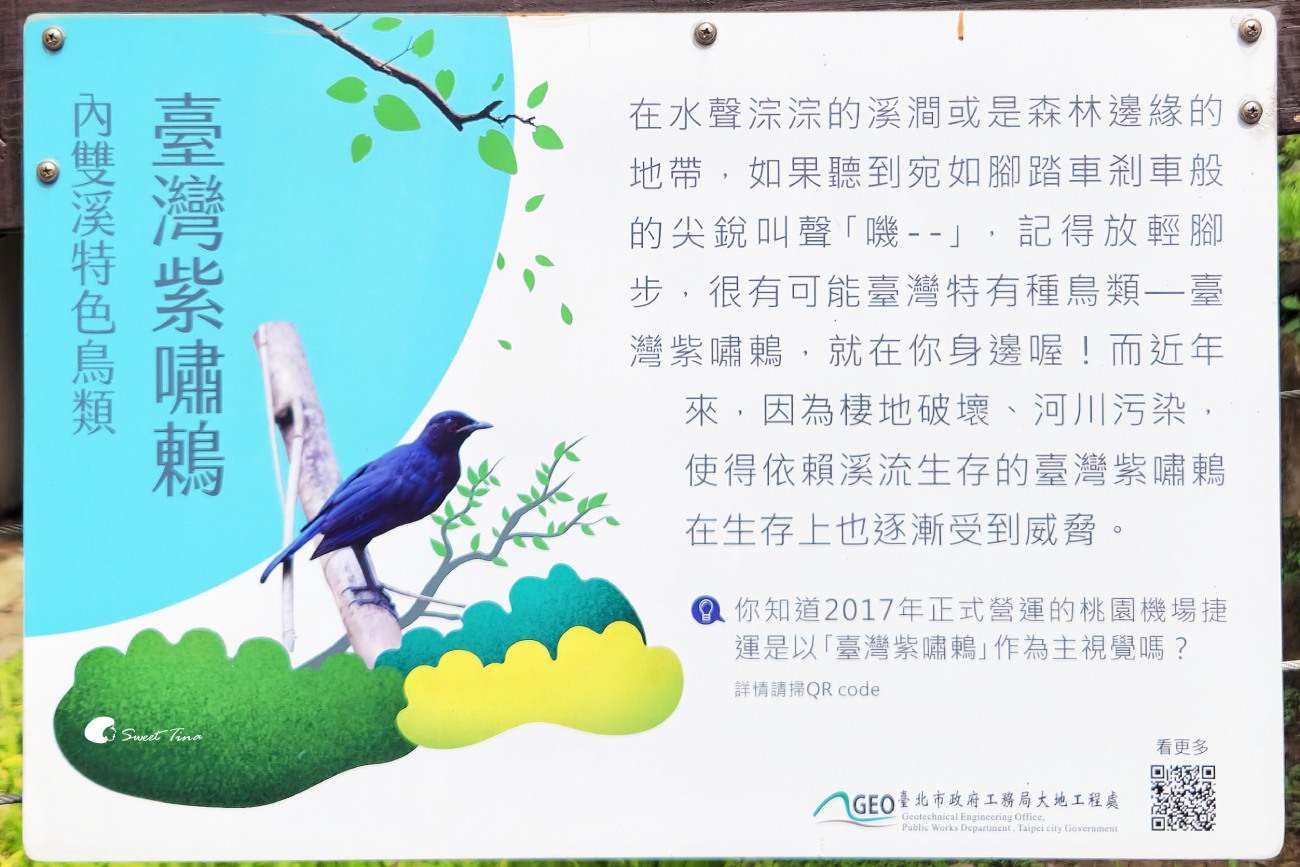 內雙溪自然中心藥用植物園|親子同遊、生態教育的台北近郊景點推薦 內雙溪自然中心藥用植物園|親子同遊、生態教育的台北近郊景點推薦
