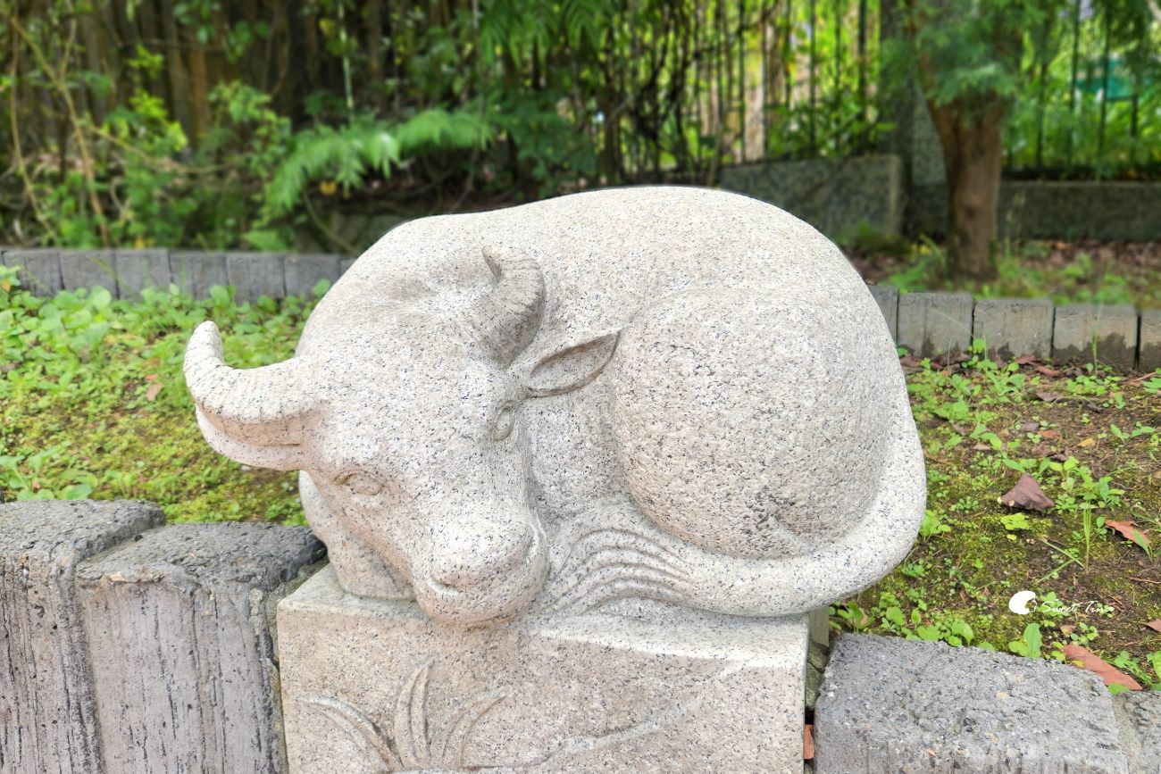 內雙溪自然中心藥用植物園|親子同遊、生態教育的台北近郊景點推薦 內雙溪自然中心藥用植物園|親子同遊、生態教育的台北近郊景點推薦