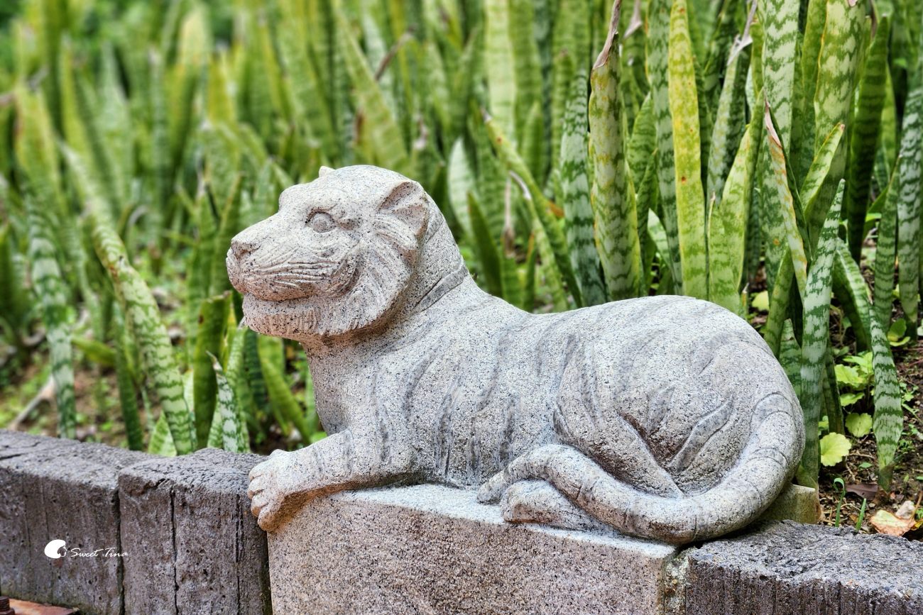 內雙溪自然中心藥用植物園|親子同遊、生態教育的台北近郊景點推薦 內雙溪自然中心藥用植物園|親子同遊、生態教育的台北近郊景點推薦