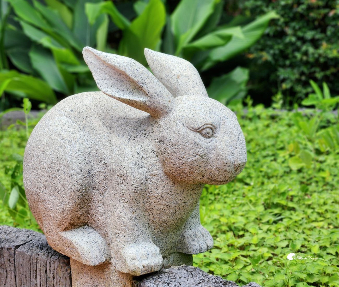 內雙溪自然中心藥用植物園|親子同遊、生態教育的台北近郊景點推薦 內雙溪自然中心藥用植物園|親子同遊、生態教育的台北近郊景點推薦