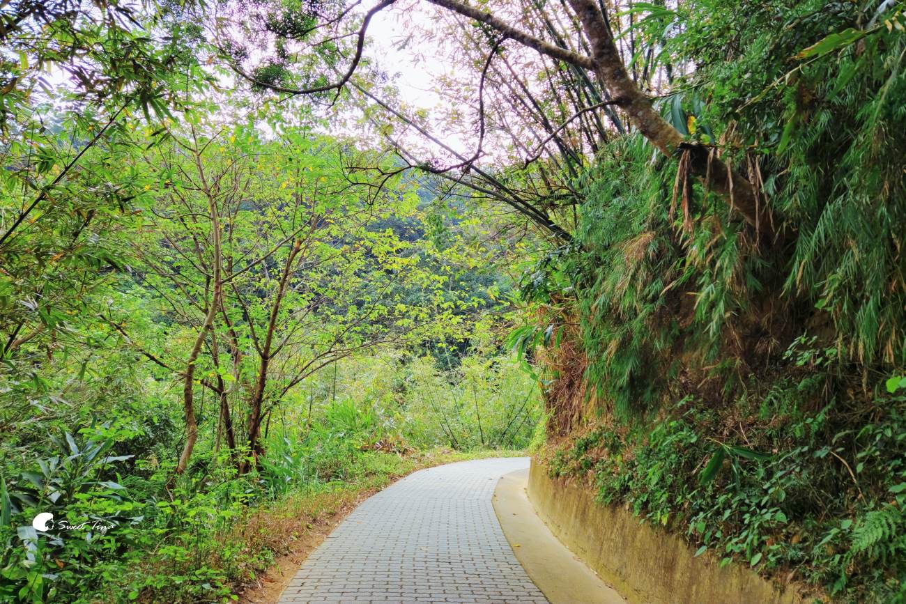 寶山水庫環湖步道|新竹景點推薦,湖景優美的輕鬆散步路線 寶山水庫環湖步道|新竹景點推薦,湖景優美的輕鬆散步路線