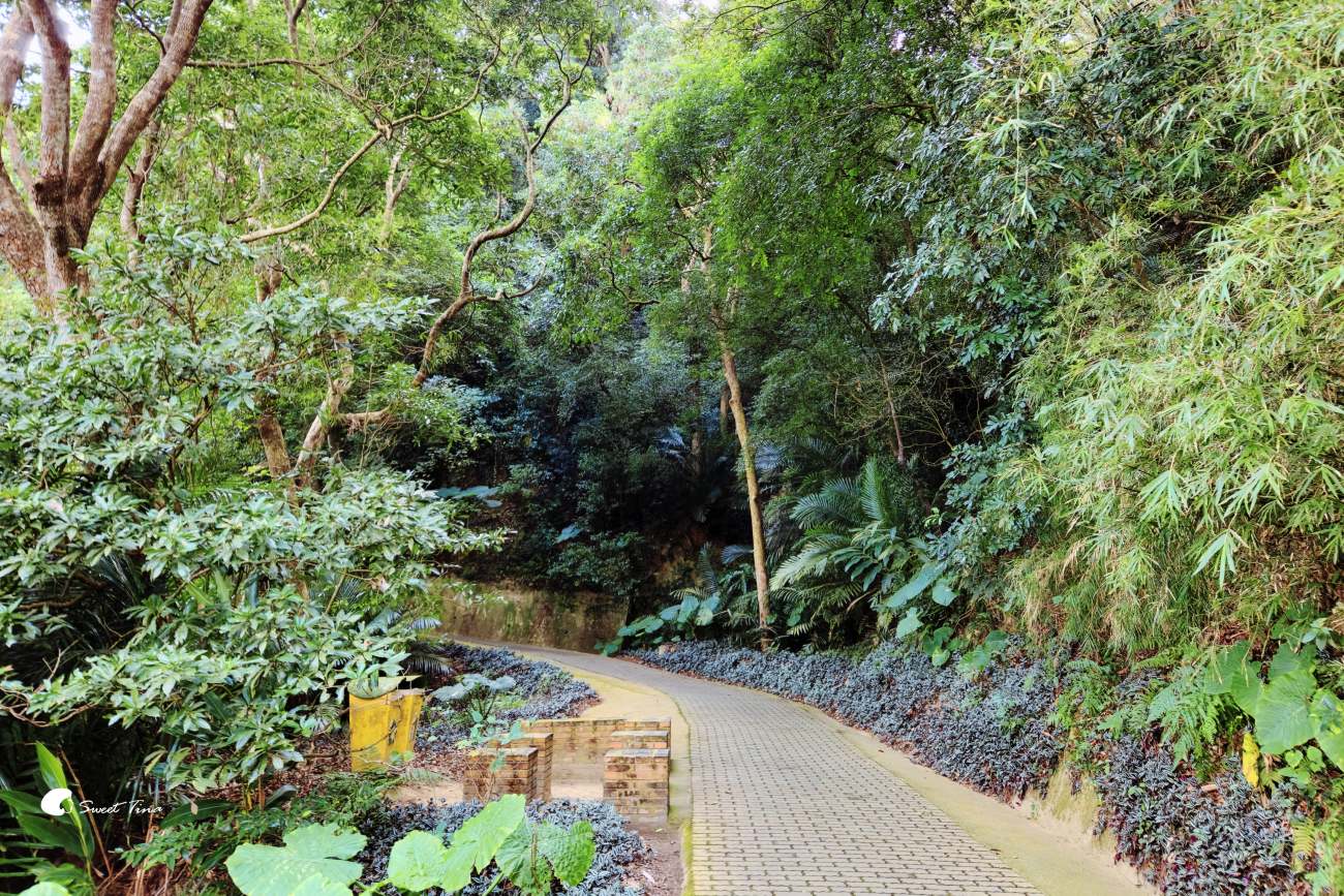 寶山水庫環湖步道|新竹景點推薦,湖景優美的輕鬆散步路線 寶山水庫環湖步道|新竹景點推薦,湖景優美的輕鬆散步路線