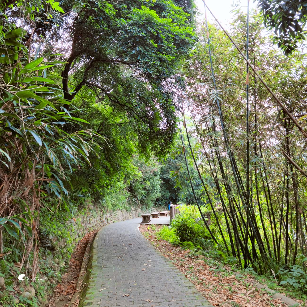 寶山水庫環湖步道|新竹景點推薦,湖景優美的輕鬆散步路線 寶山水庫環湖步道|新竹景點推薦,湖景優美的輕鬆散步路線