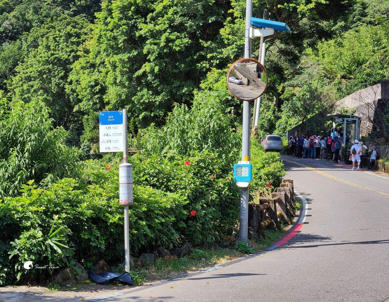 草山觀瀑吊橋及平台|陽明山親子步道,平緩好走賞瀑布 草山觀瀑吊橋及平台|陽明山親子步道,平緩好走賞瀑布