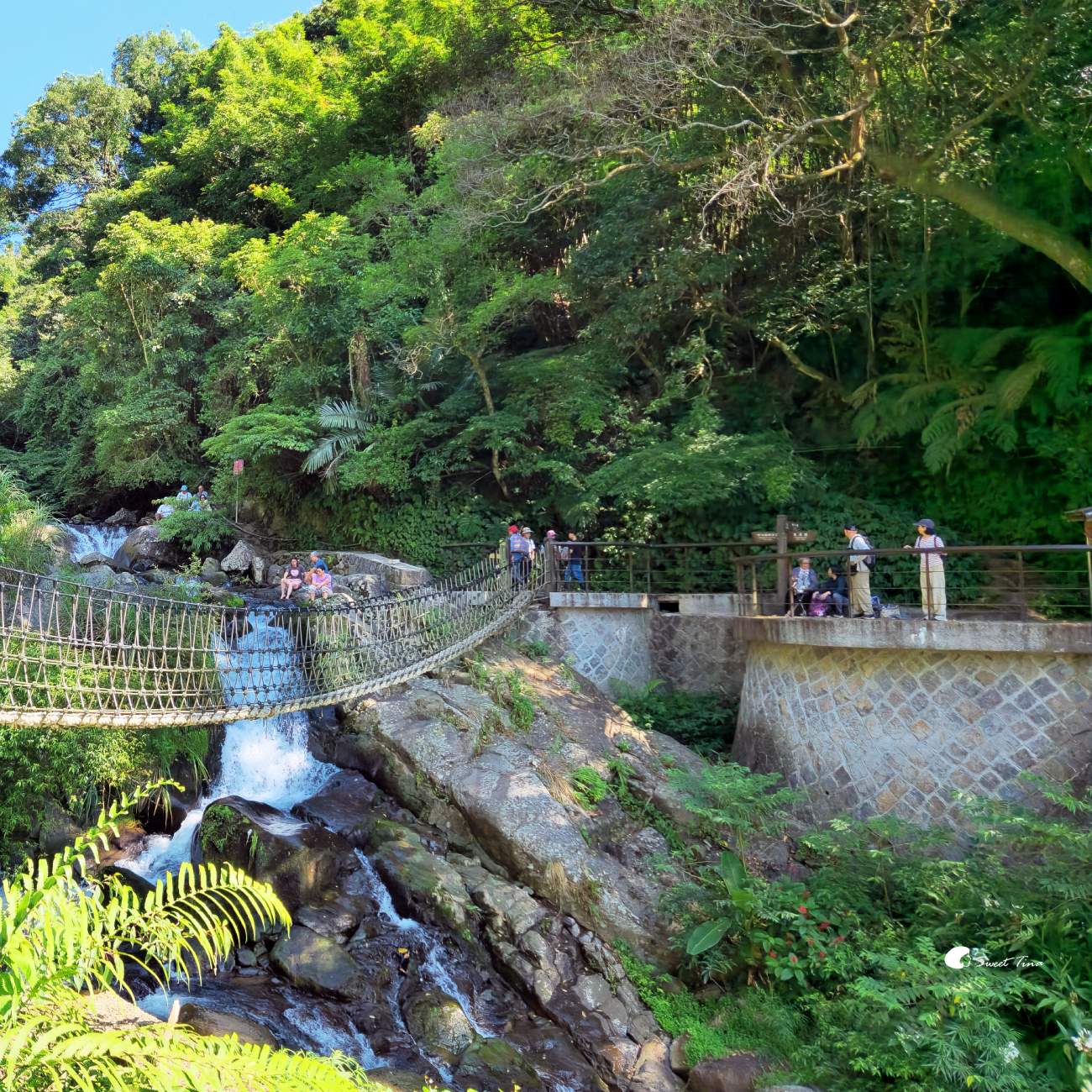 草山觀瀑吊橋及平台|陽明山親子步道,平緩好走賞瀑布 草山觀瀑吊橋及平台|陽明山親子步道,平緩好走賞瀑布