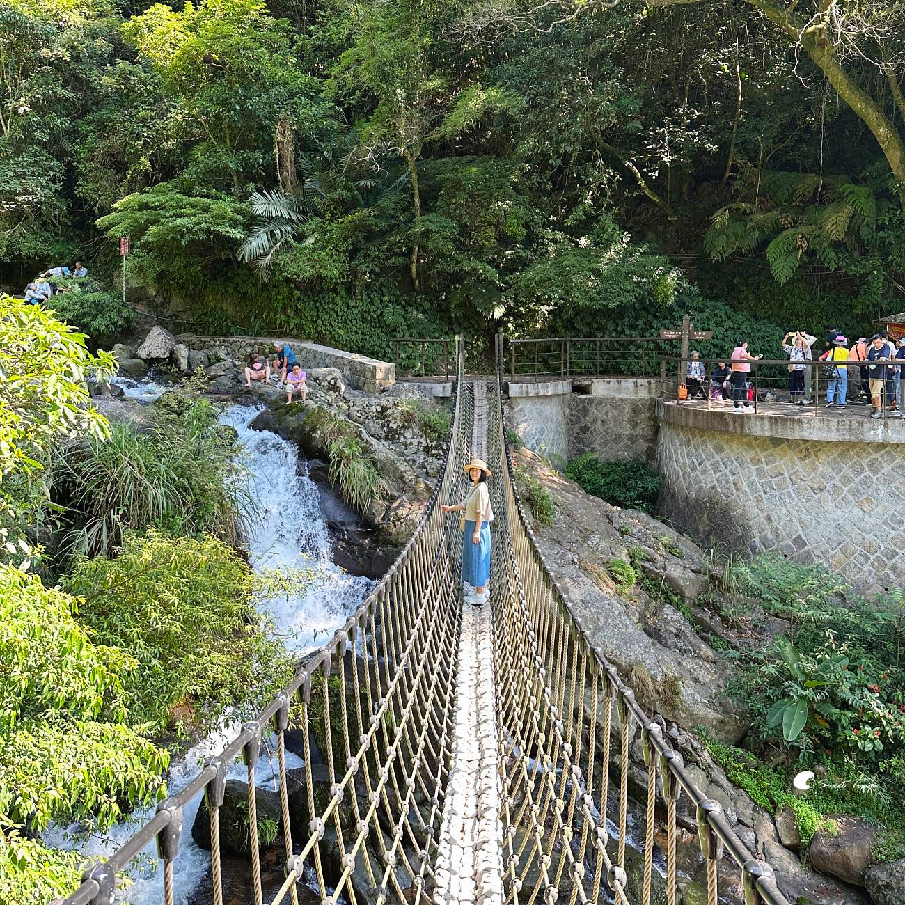草山觀瀑吊橋及平台|陽明山親子步道,平緩好走賞瀑布 草山觀瀑吊橋及平台|陽明山親子步道,平緩好走賞瀑布