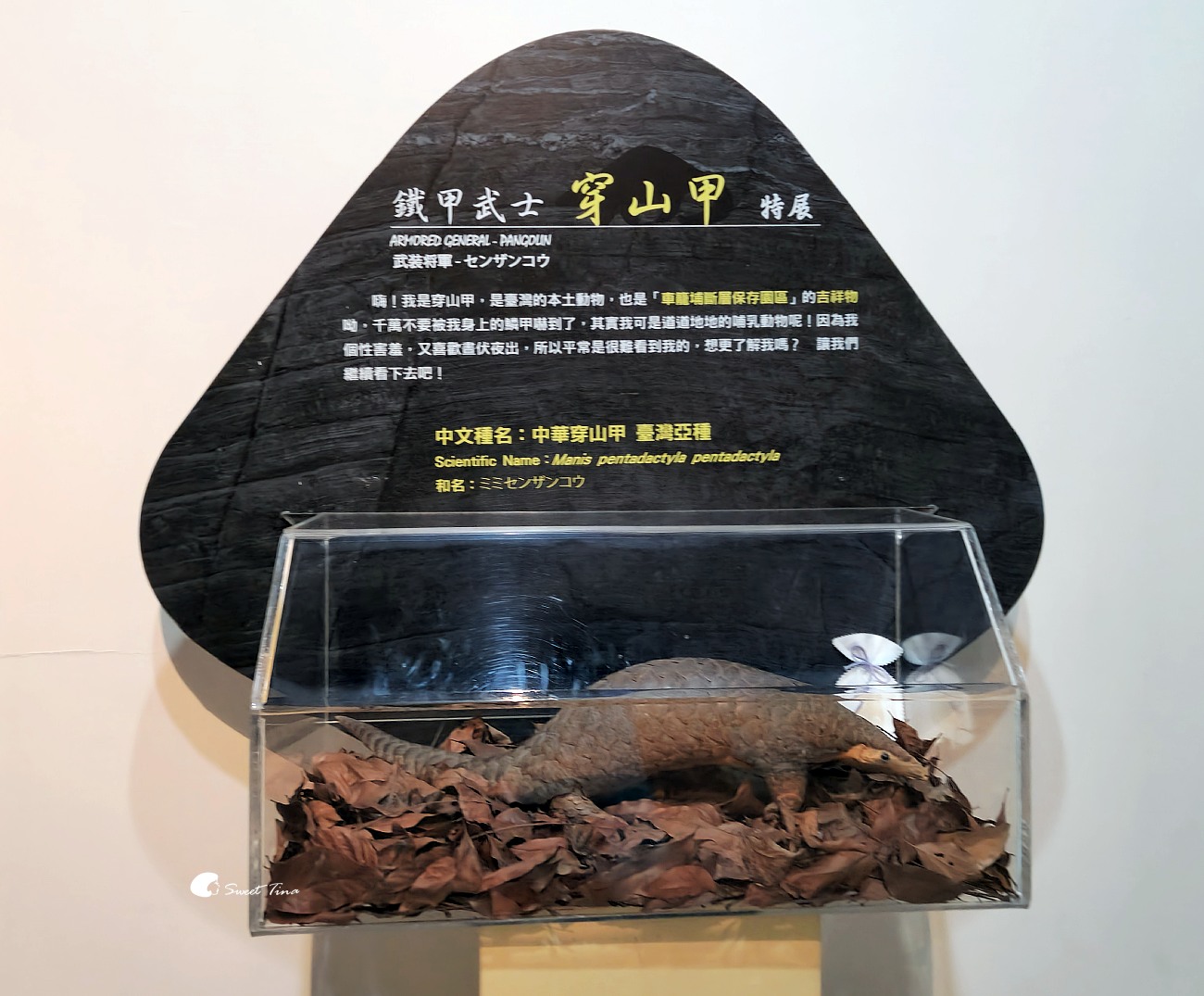 車籠埔斷層保存園區|南投親子景點推薦,寓教於樂的地震探索館! 車籠埔斷層保存園區|南投親子景點推薦,寓教於樂的地震探索館!