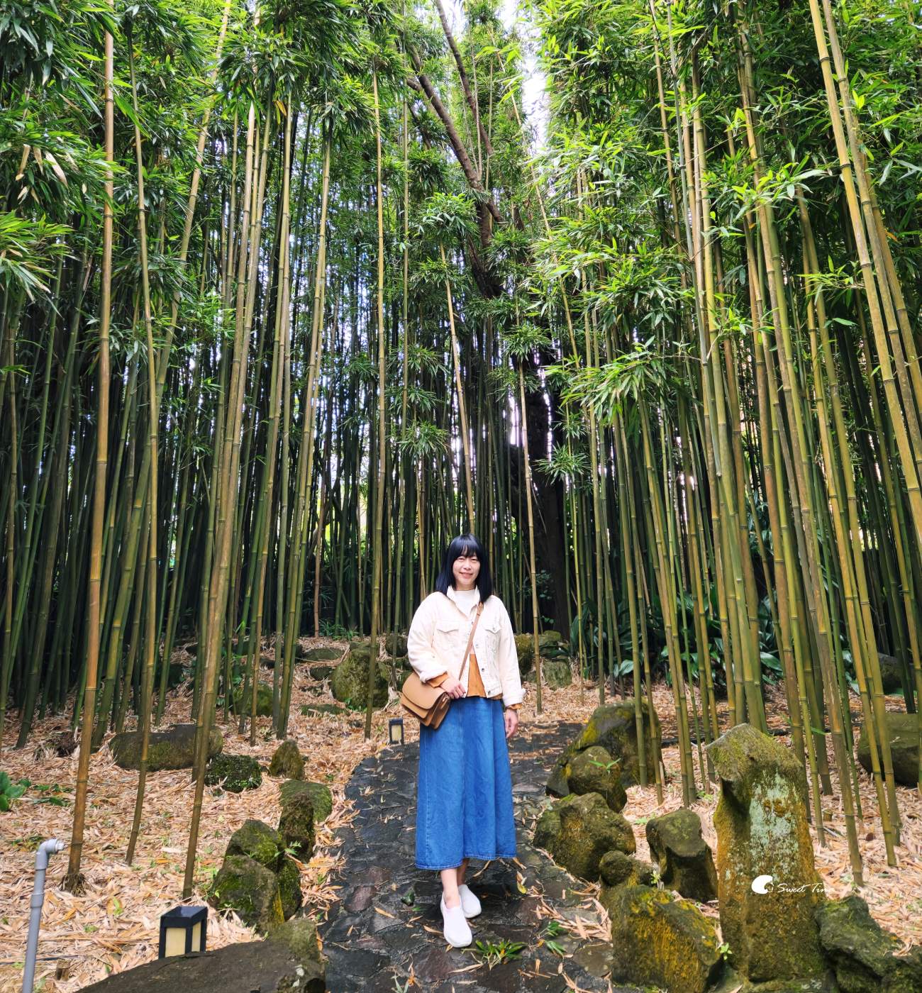 豆留森林｜陽明山庭園餐廳，感受日式老屋與竹林的愜意氛圍