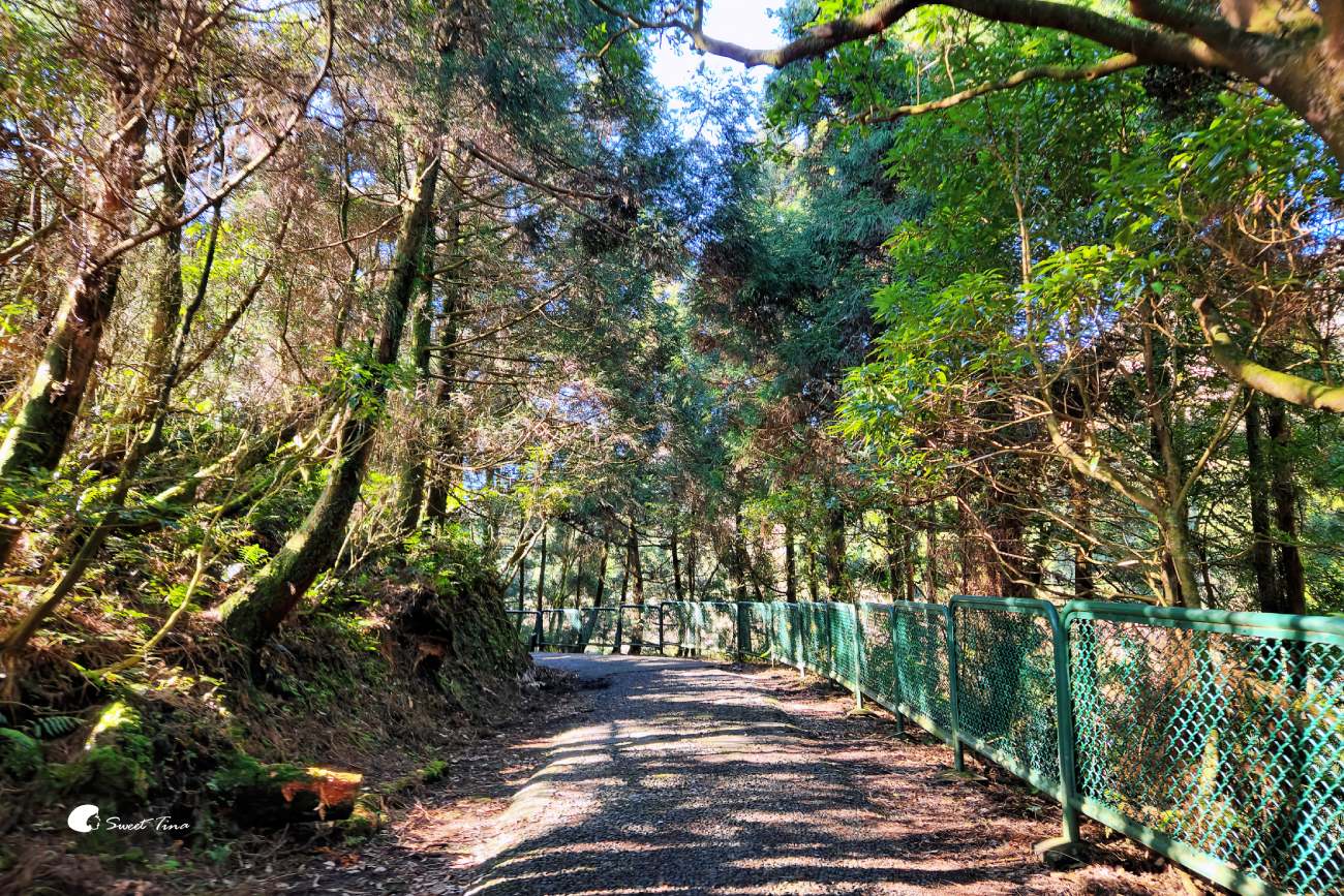 【夢幻湖步道】陽明山必訪景點 – 絕美湖景,壯闊山景健行路線推薦 【夢幻湖步道】陽明山必訪景點 – 絕美湖景,壯闊山景健行路線推薦