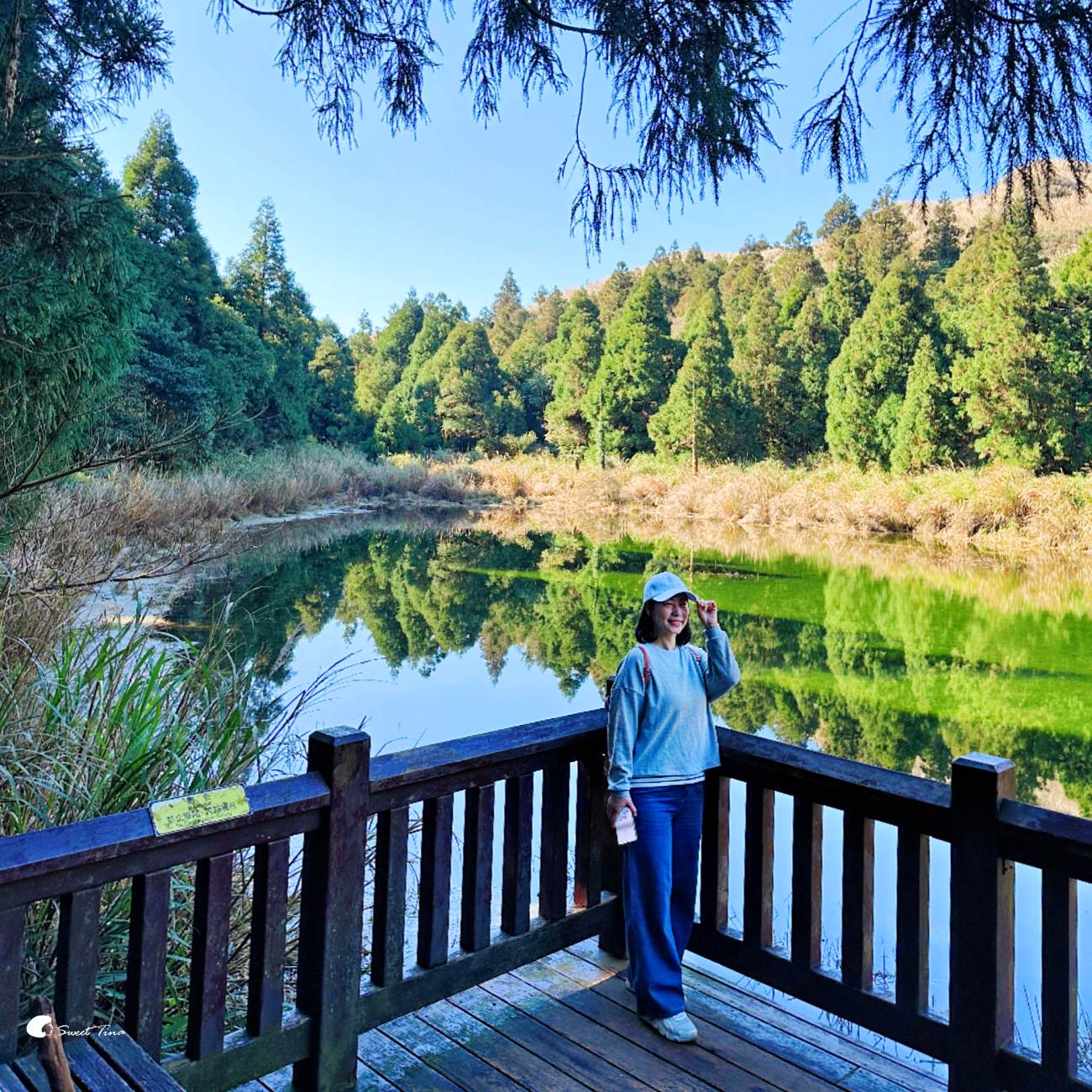 【夢幻湖步道】陽明山必訪景點 – 絕美湖景,壯闊山景健行路線推薦 【夢幻湖步道】陽明山必訪景點 – 絕美湖景,壯闊山景健行路線推薦