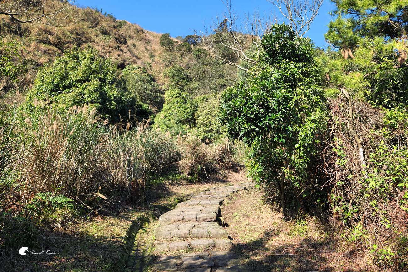 【夢幻湖步道】陽明山必訪景點 – 絕美湖景,壯闊山景健行路線推薦 【夢幻湖步道】陽明山必訪景點 – 絕美湖景,壯闊山景健行路線推薦