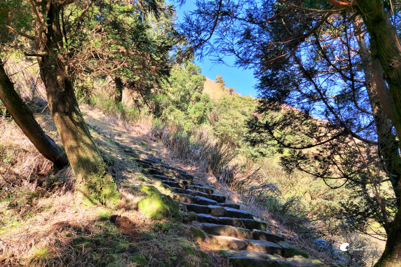 【夢幻湖步道】陽明山必訪景點 – 絕美湖景,壯闊山景健行路線推薦 【夢幻湖步道】陽明山必訪景點 – 絕美湖景,壯闊山景健行路線推薦