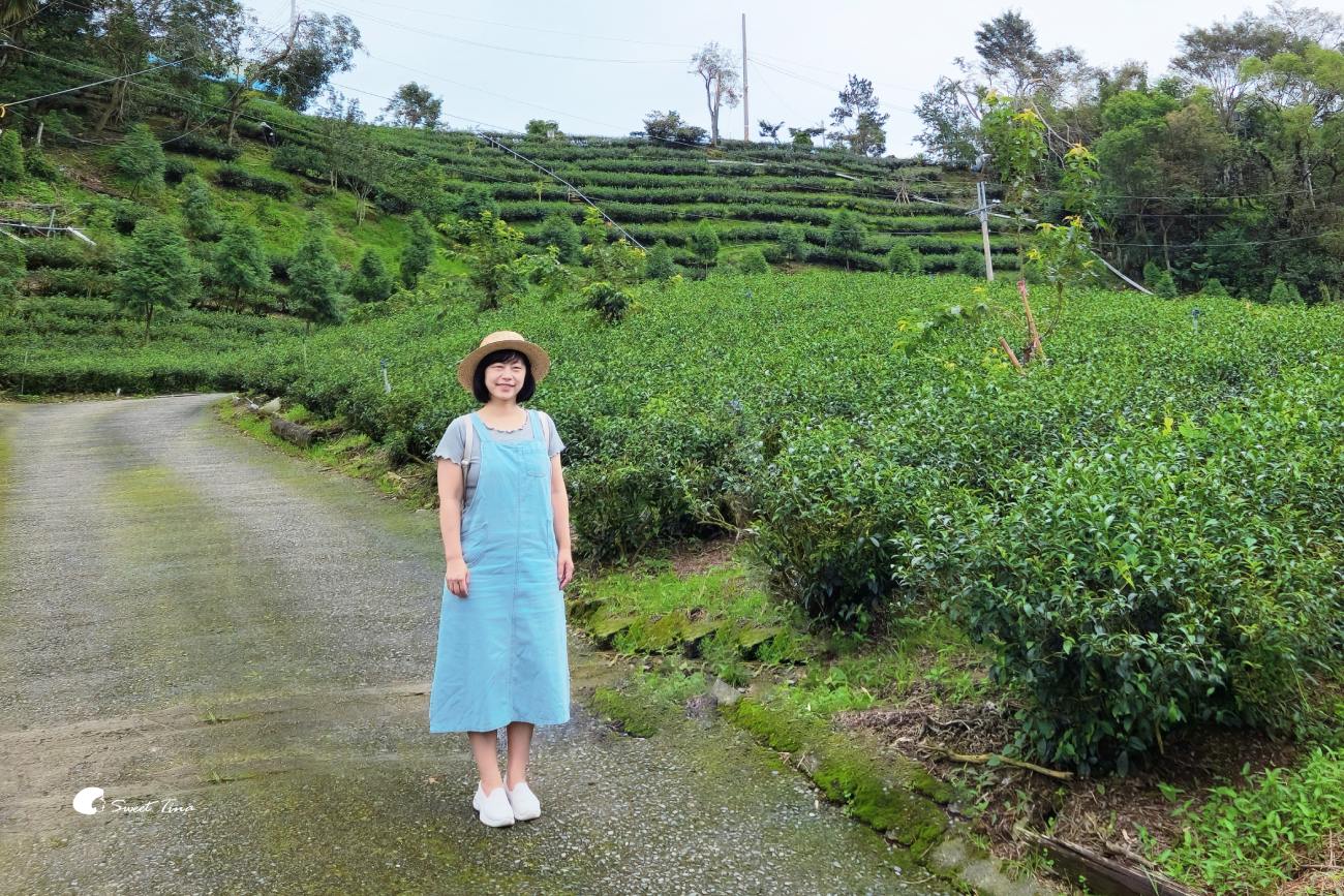 南投竹山霧境民宿|景觀絕佳的山林秘境住宿推薦 南投竹山霧境民宿|景觀絕佳的山林秘境住宿推薦