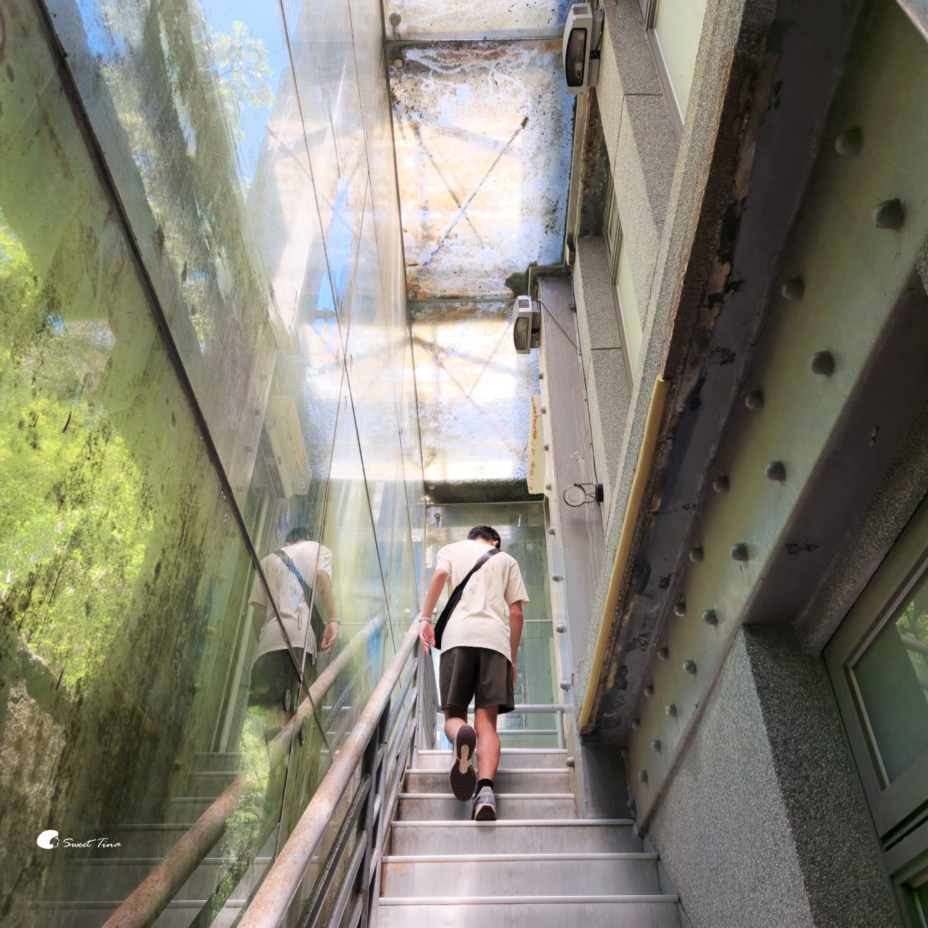 新北黃金博物館｜探訪金瓜石歷史，欣賞山海美景與礦坑體驗