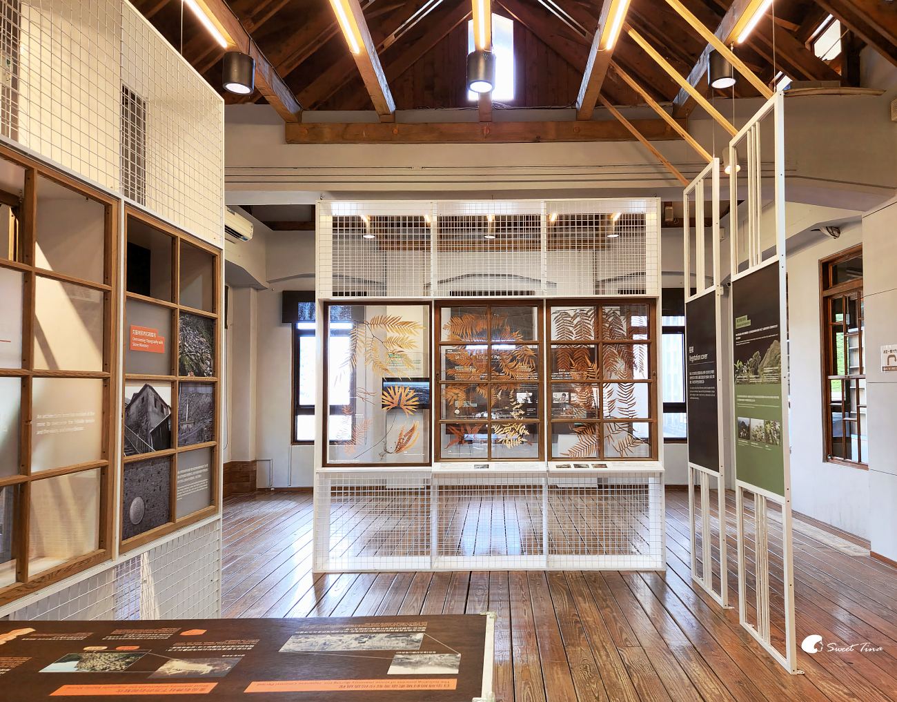 新北黃金博物館｜探訪金瓜石歷史，欣賞山海美景與礦坑體驗