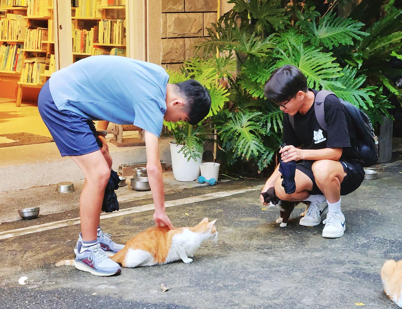 花蓮三天兩夜行程推薦|人氣景點、特色民宿、美食推薦一次看 花蓮三天兩夜行程推薦|人氣景點、特色民宿、美食推薦一次看