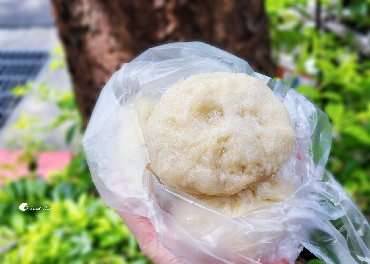 康記老麵包子專賣店｜中正紀念堂美食推薦，鮮肉包、青江菜包，老麵皮紮實Q彈