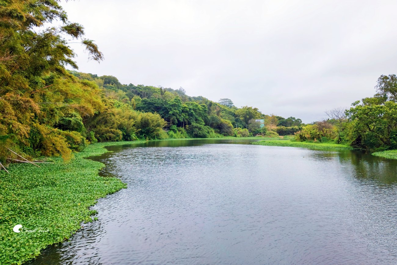 新竹飯店推薦|煙波大飯店新竹湖濱館,室內樂園、青草湖畔美景,全家大小放電首選! 新竹飯店推薦|煙波大飯店新竹湖濱館,室內樂園、青草湖畔美景,全家大小放電首選!