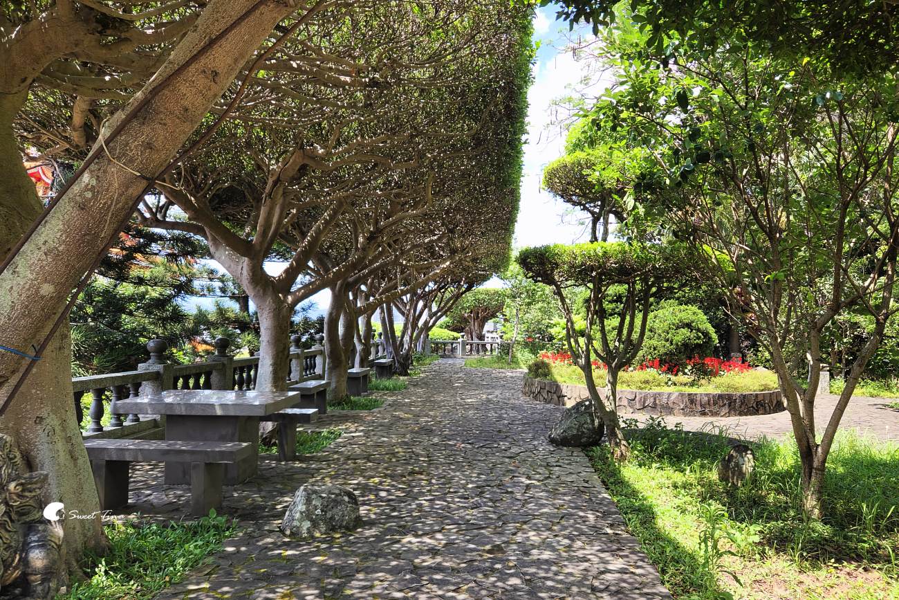 靈山公園｜台北賞景秘境，俯瞰淡水河、觀音山絕美景點