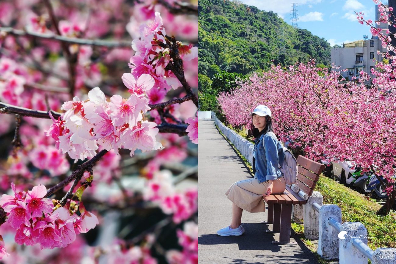 河岸櫻花步道