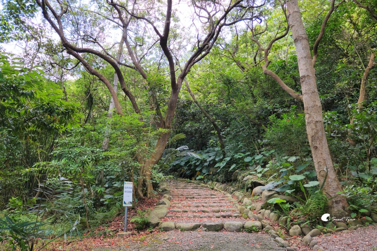 大漢溪山豬湖生態親水園區|桃園大溪景點,漫步親水步道、欣賞濕地生態與壯麗中庄吊橋 大漢溪山豬湖生態親水園區|桃園大溪景點,漫步親水步道、欣賞濕地生態與壯麗中庄吊橋