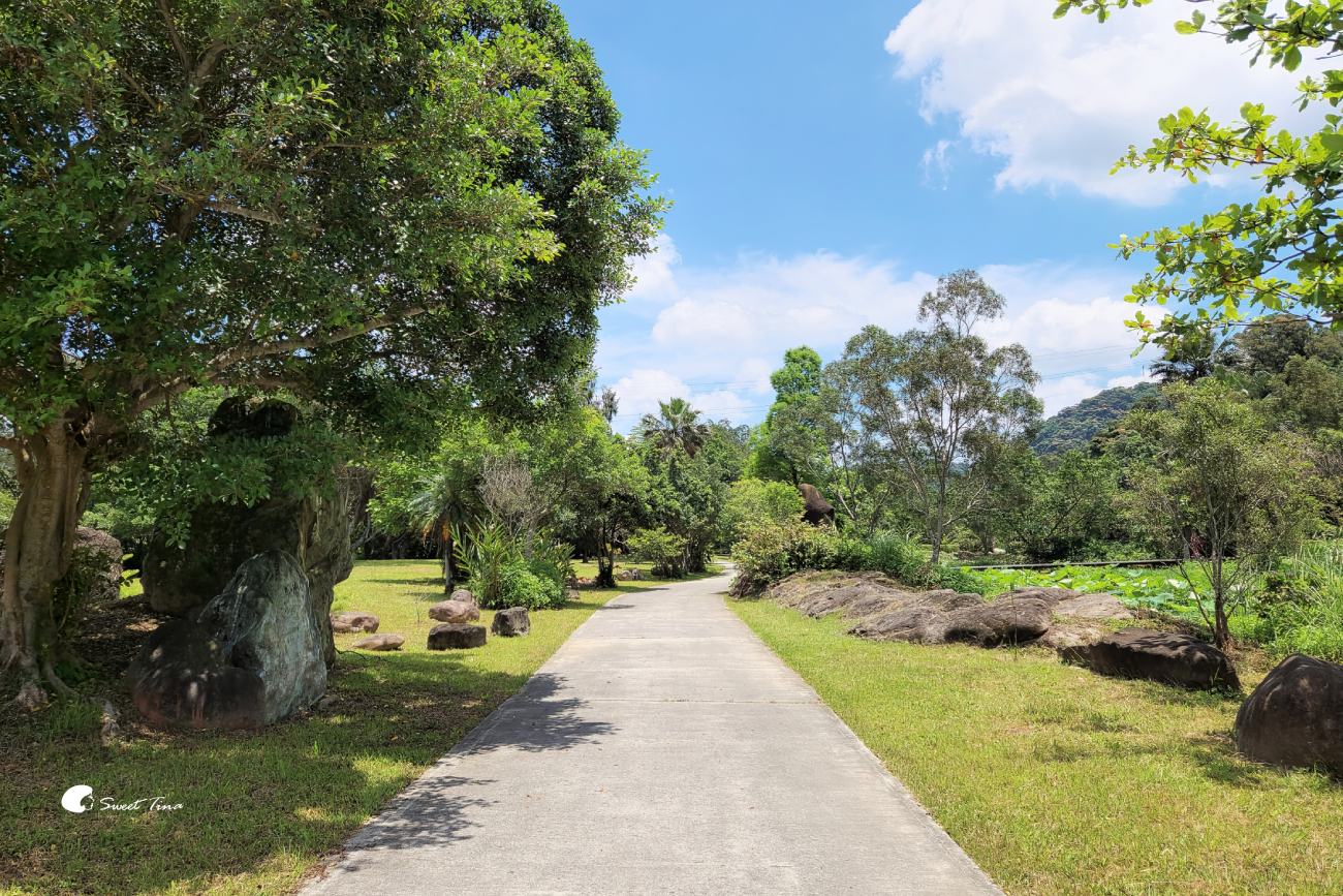 大漢溪山豬湖生態親水園區|桃園大溪景點,漫步親水步道、欣賞濕地生態與壯麗中庄吊橋 大漢溪山豬湖生態親水園區|桃園大溪景點,漫步親水步道、欣賞濕地生態與壯麗中庄吊橋