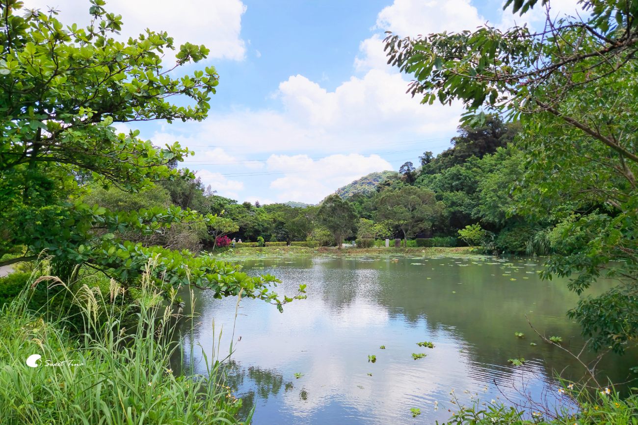 大漢溪山豬湖生態親水園區|桃園大溪景點,漫步親水步道、欣賞濕地生態與壯麗中庄吊橋 大漢溪山豬湖生態親水園區|桃園大溪景點,漫步親水步道、欣賞濕地生態與壯麗中庄吊橋