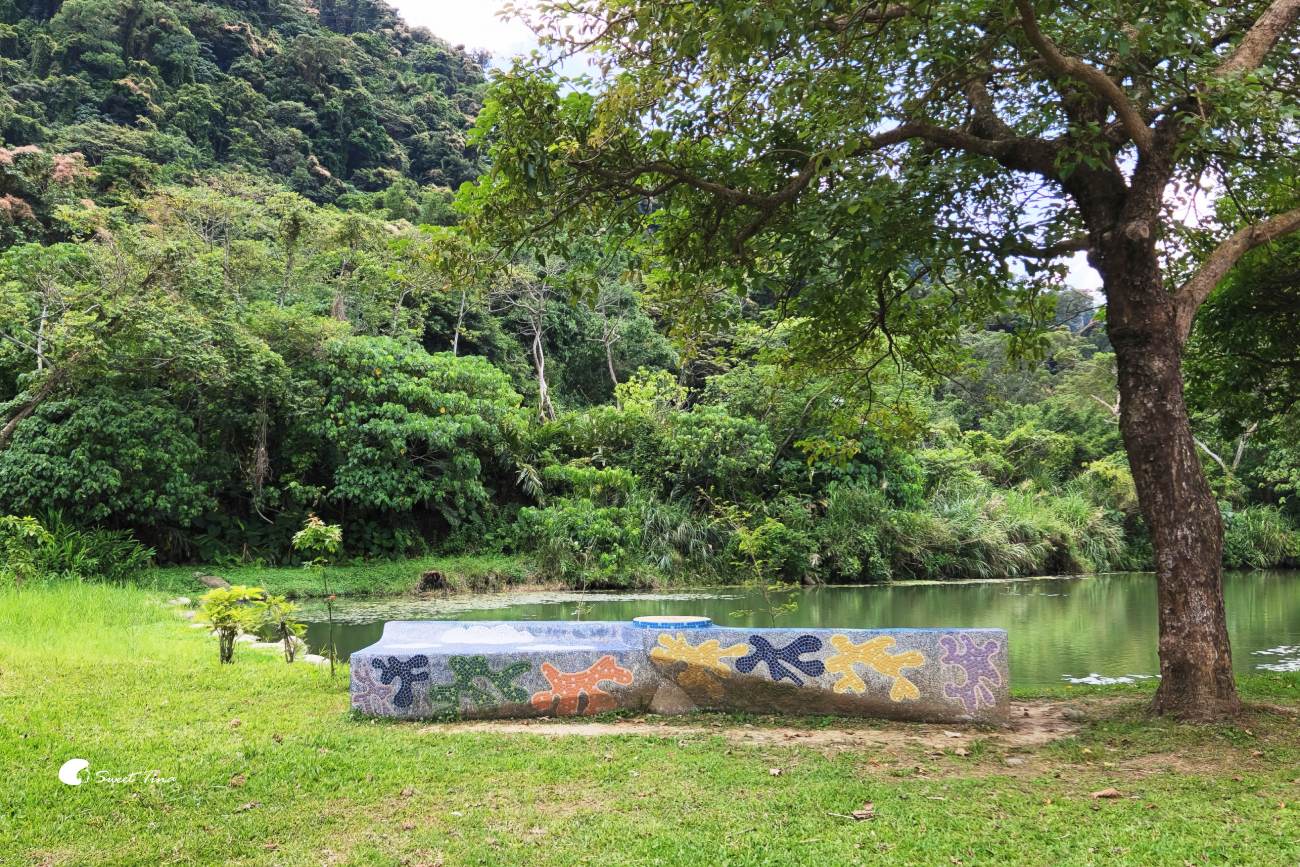 大漢溪山豬湖生態親水園區|桃園大溪景點,漫步親水步道、欣賞濕地生態與壯麗中庄吊橋 大漢溪山豬湖生態親水園區|桃園大溪景點,漫步親水步道、欣賞濕地生態與壯麗中庄吊橋